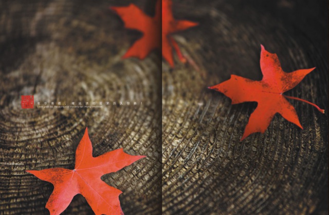 畫冊設(shè)計-遠(yuǎn)紅楓林畫冊設(shè)計