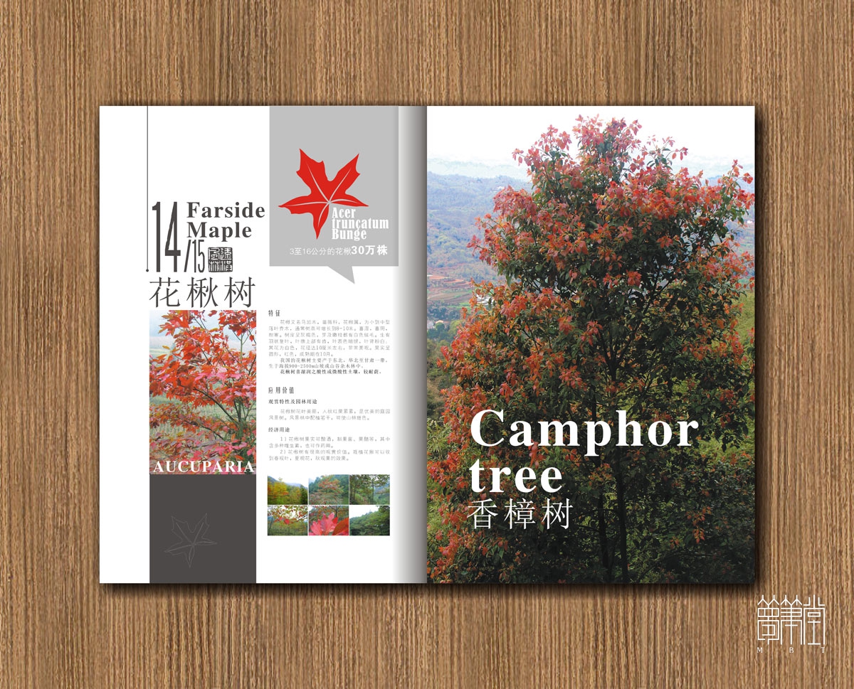 遠(yuǎn)紅楓林畫冊(cè)設(shè)計(jì)