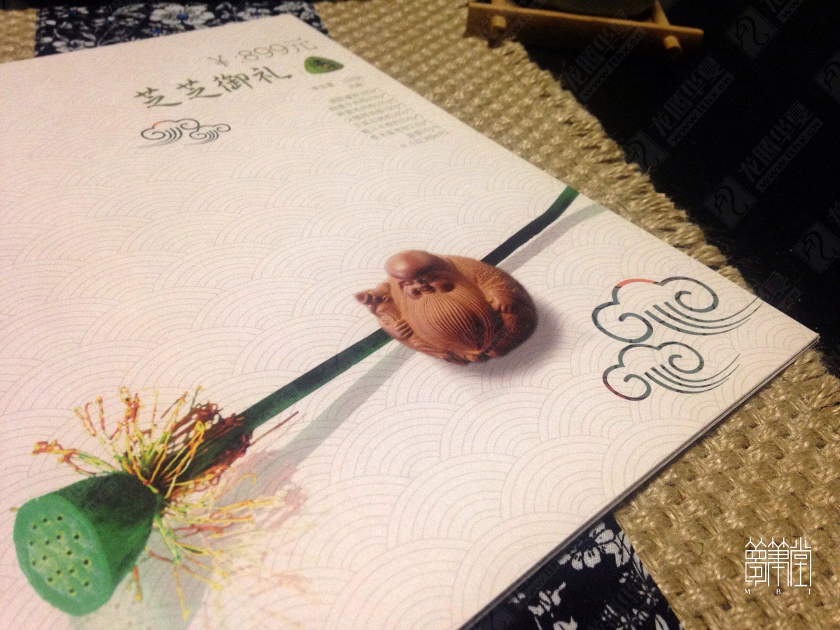 芝芝端午粽子畫冊設(shè)計
