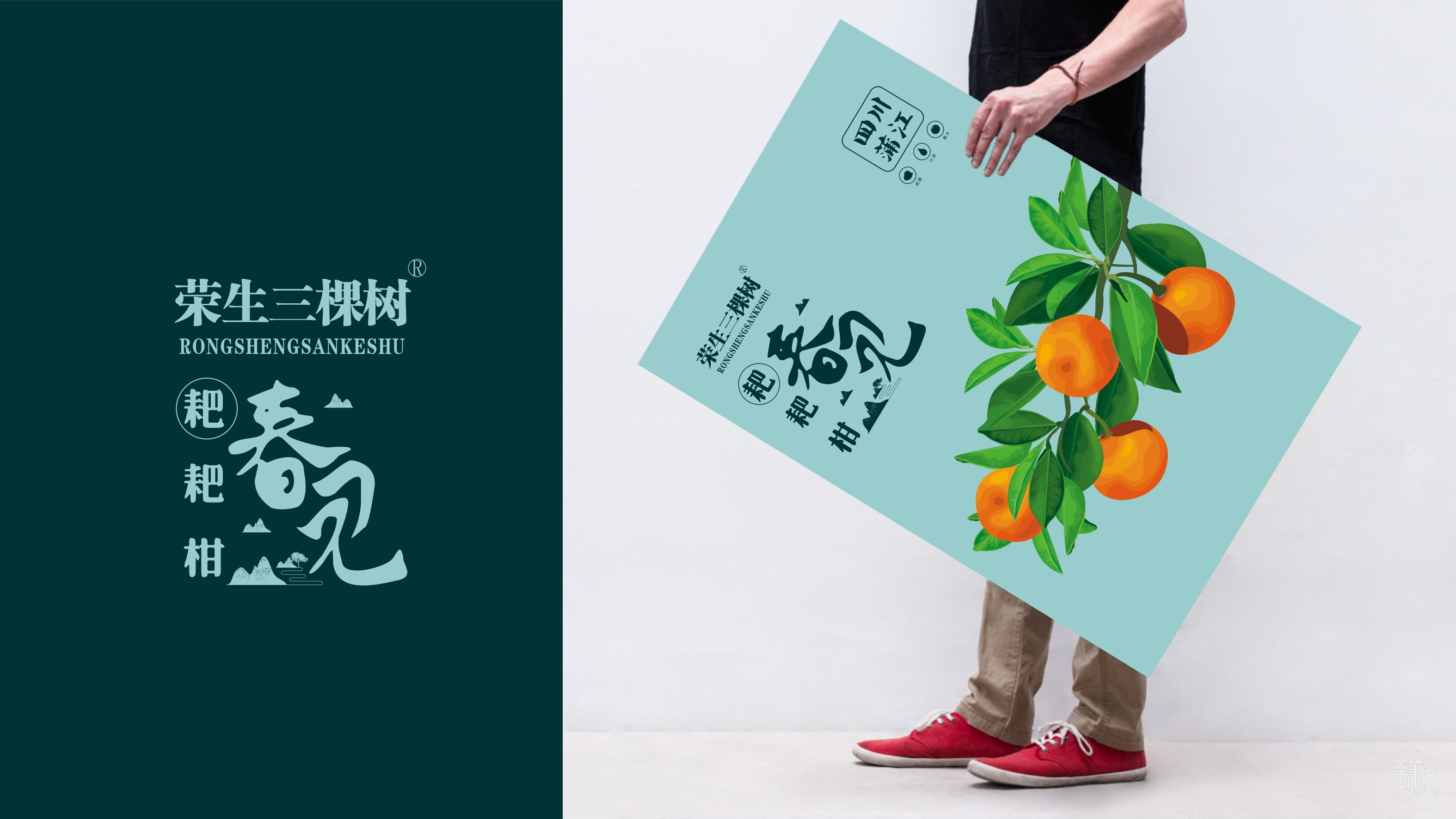 春見包裝