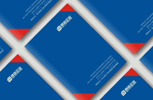 畫冊設(shè)計-炳森集團(tuán)畫冊