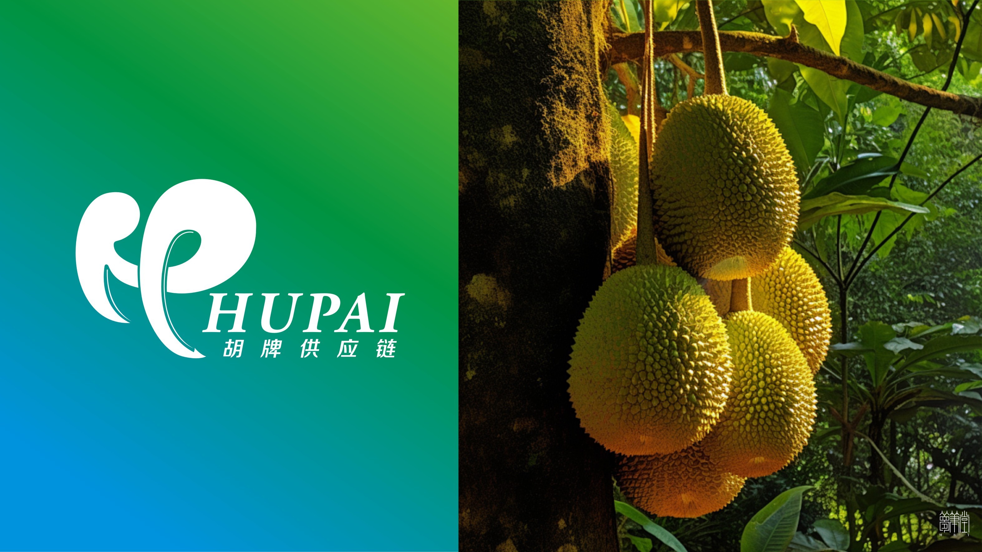 胡牌供應(yīng)鏈
